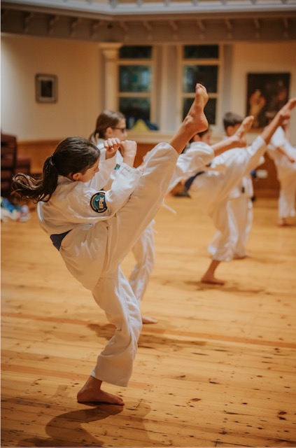Students practicing roundhouse kicks